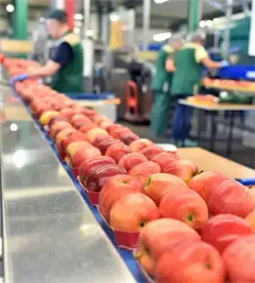 Food Processing Valves and Fittings